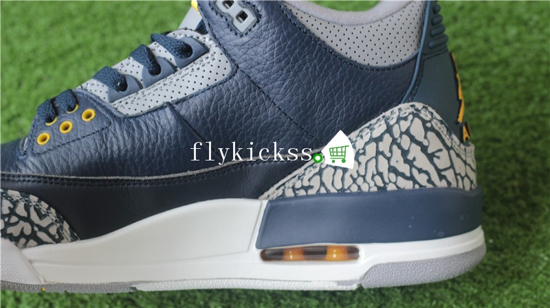 Authentic Air Jordan 3 Retro MICHIGAN PE